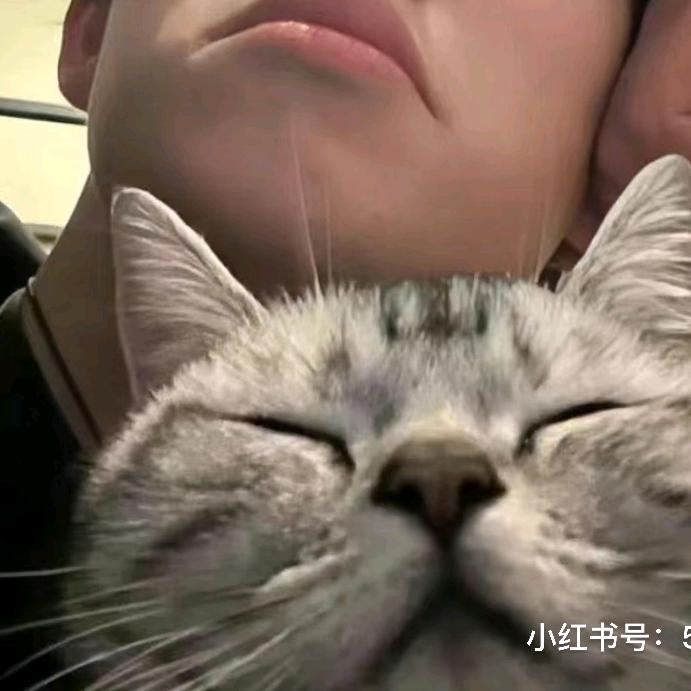 天天～～