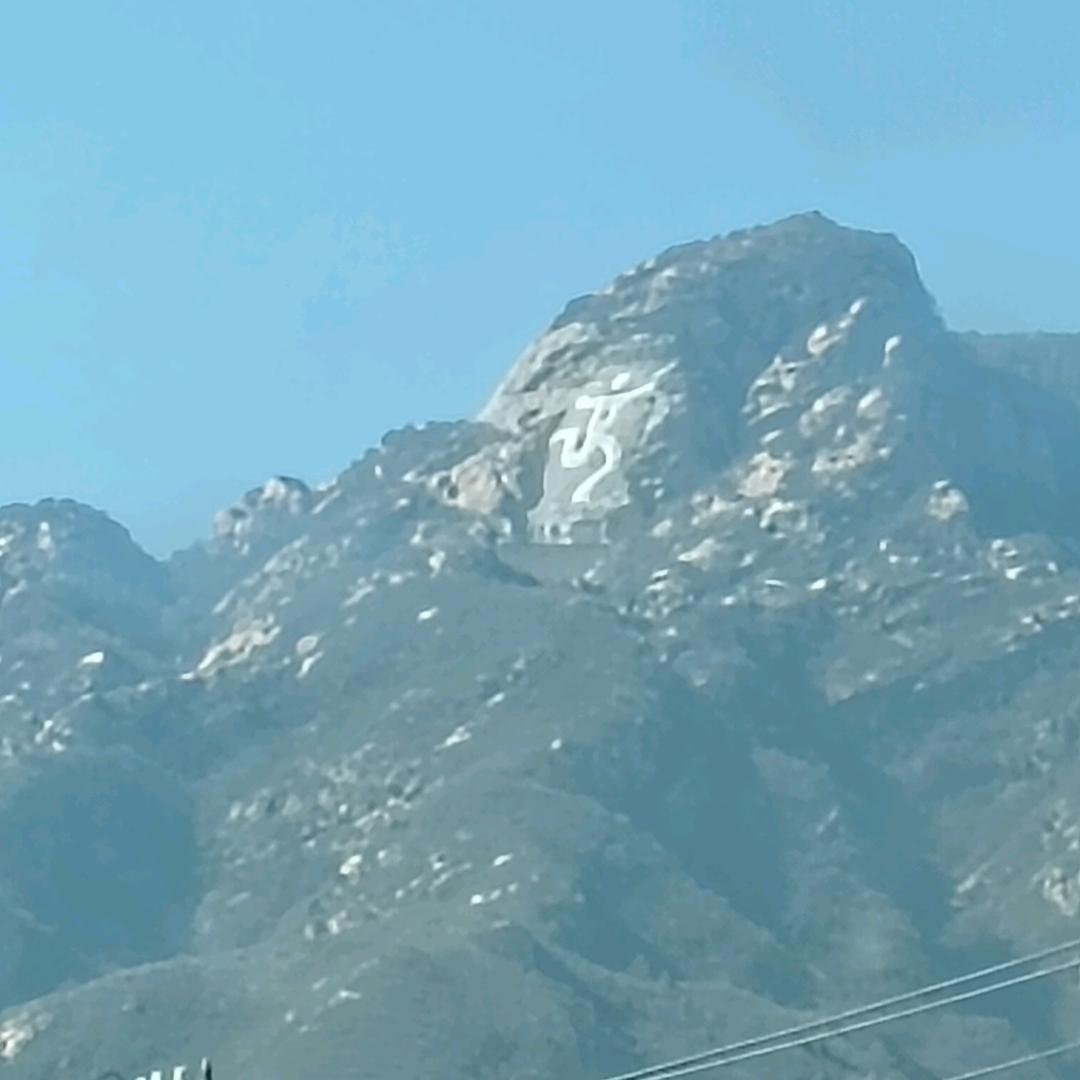 达摩