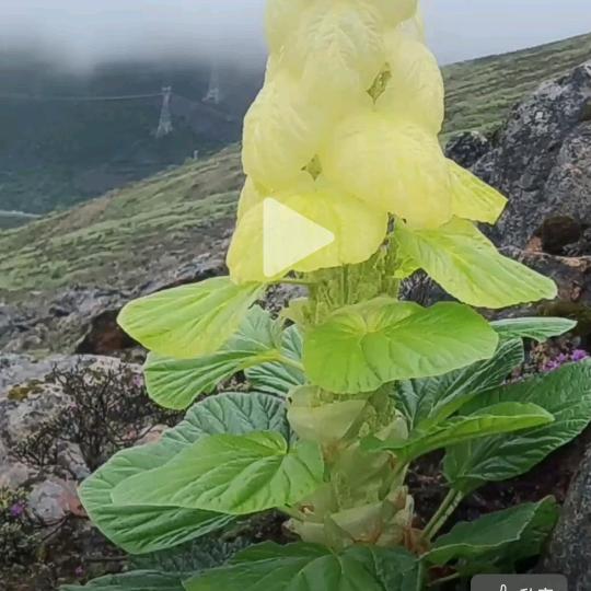 自己一个人奋斗