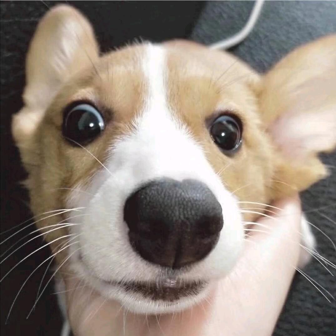 Sss.