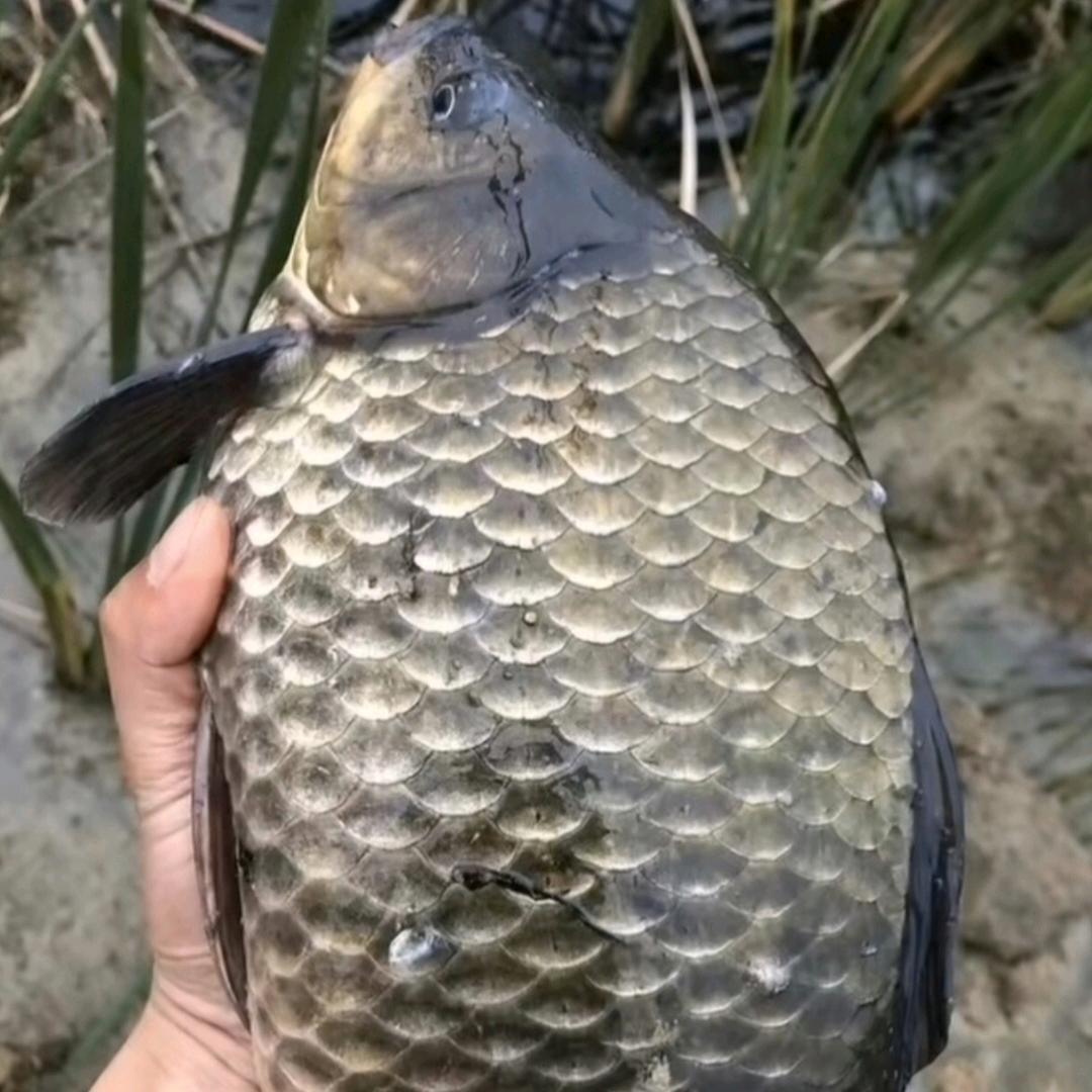 小王小邹看世界