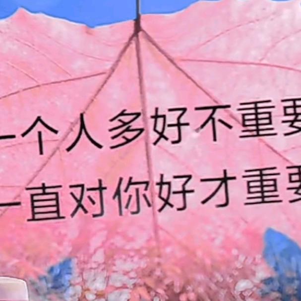 不是本人