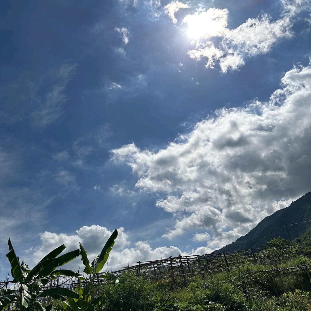 没烦恼