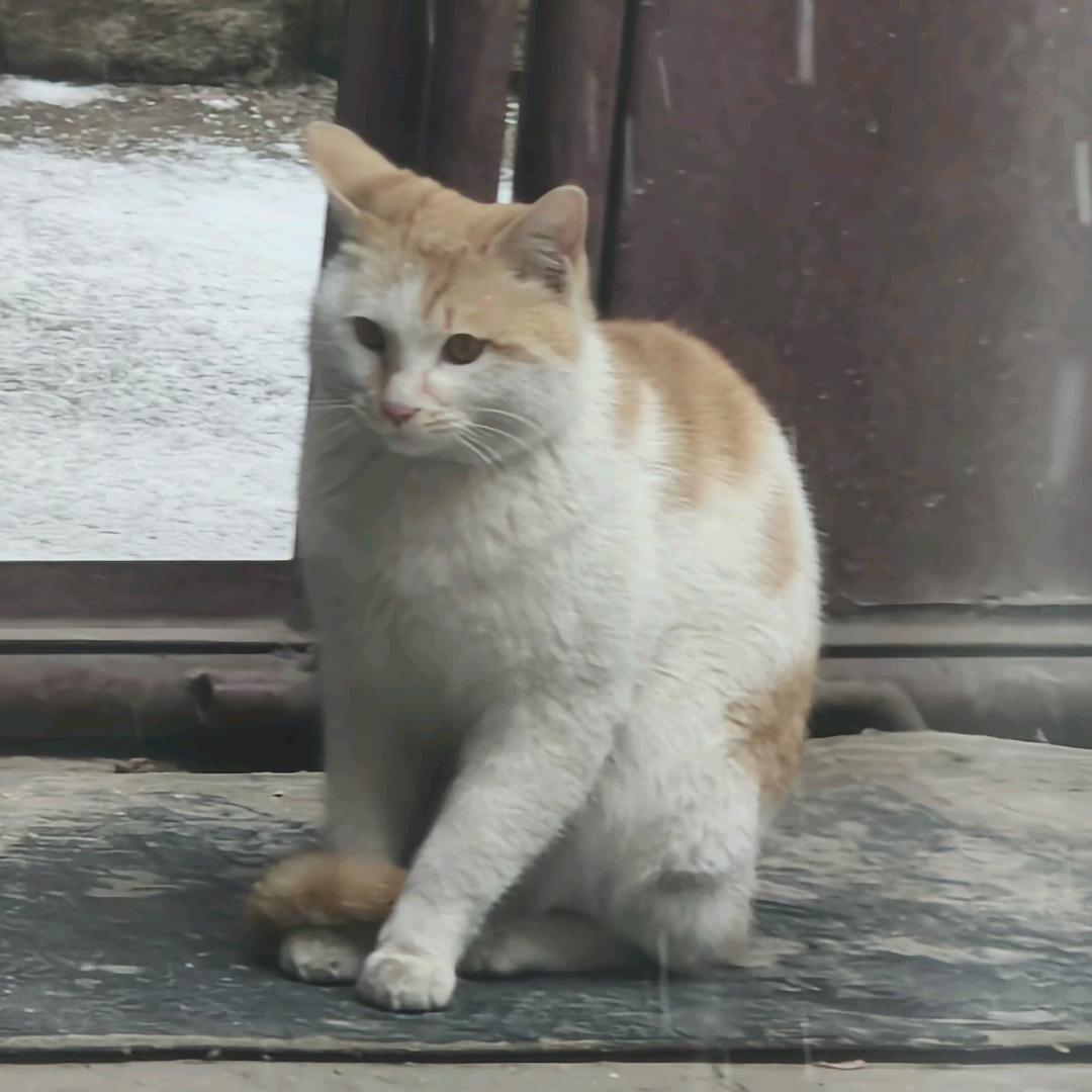 秀袖头像