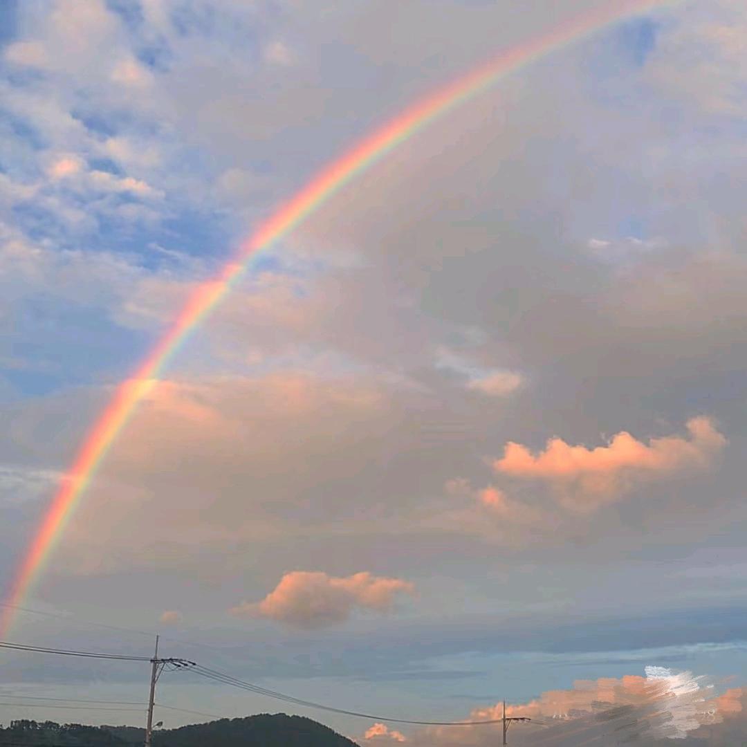 小花帽🌈