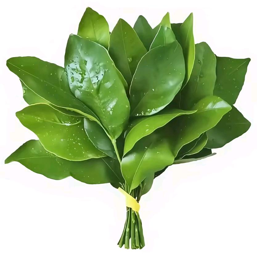 源来十八（见过王总2次帅气脸）