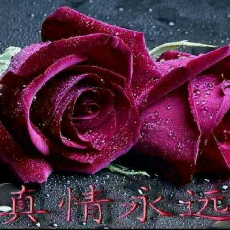 用户9425439877007