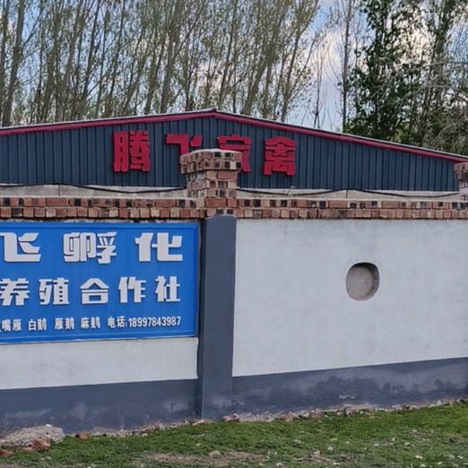 察县腾飞休闲垂钓园