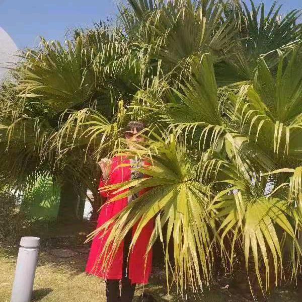 爱华姐好物分享