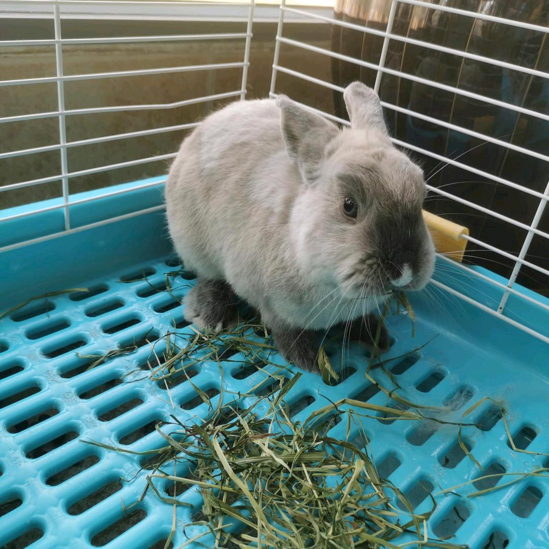 💛还有明天💛