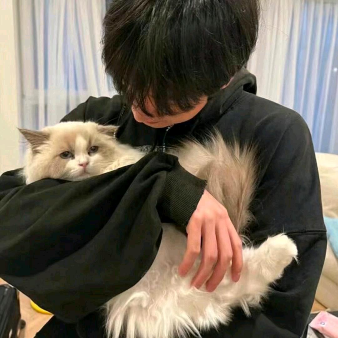 绝情小帅.