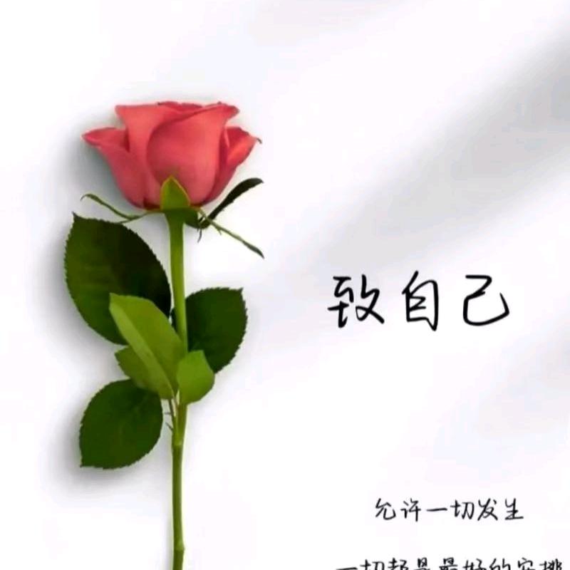 李姐精品服装