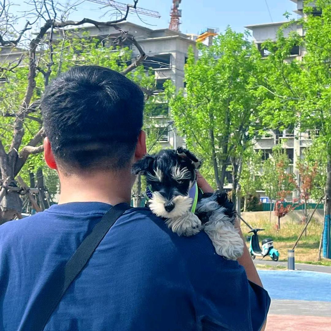 “毛孩子”奥利奥🍩