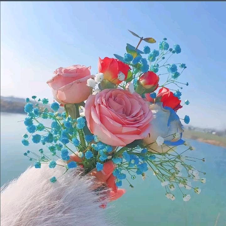 ℒᎭℯ小幸运♡̶҉💞