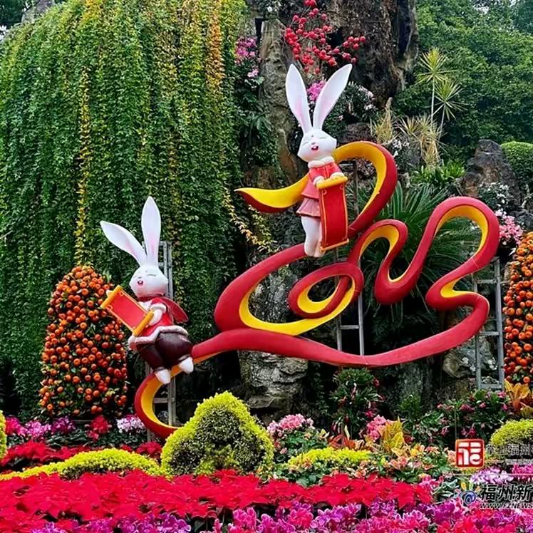 专业做野生草药材