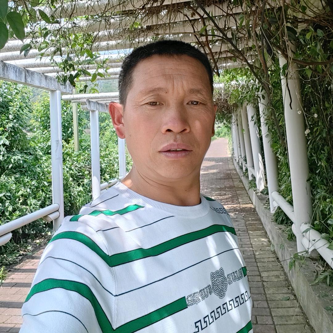 我拿青春赌明天