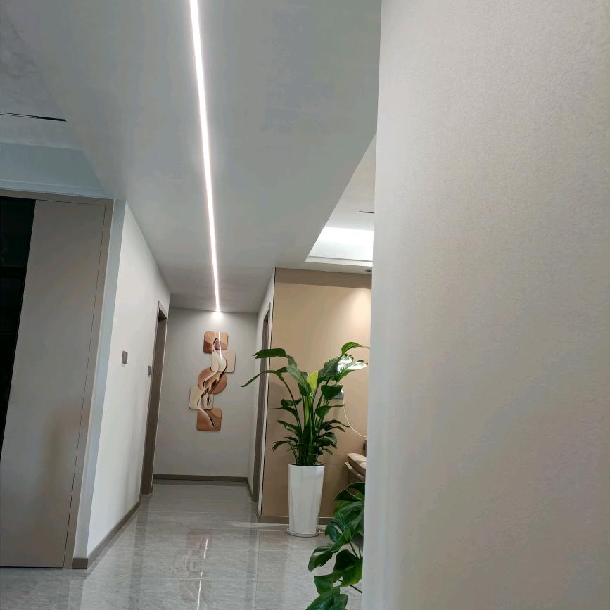 菲玛艺术漆小林