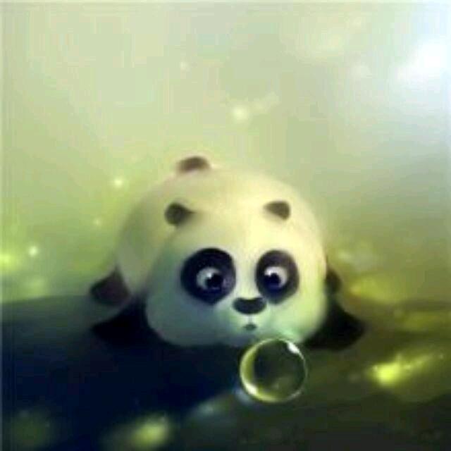 熊猫盹盹头像