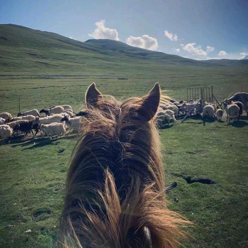 ࿐ཀརྨ།Ga ma 🎈