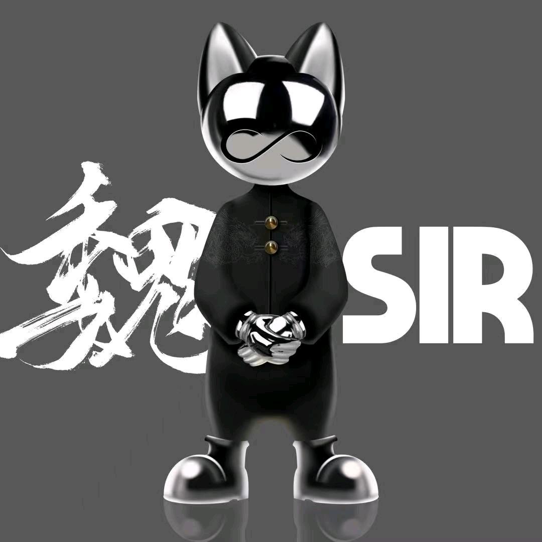 魏sir