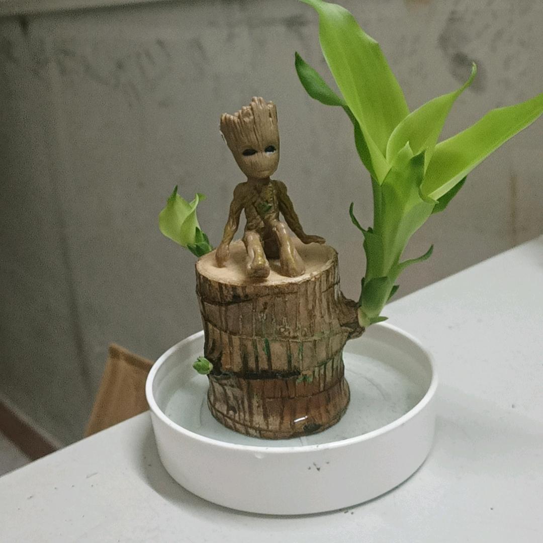 平淡是真