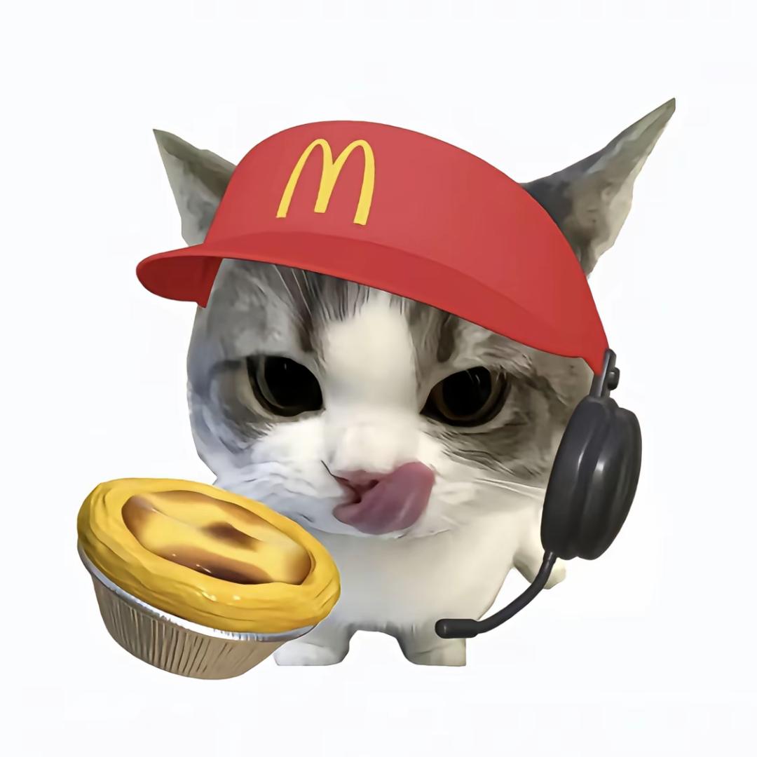 呆呆🍮