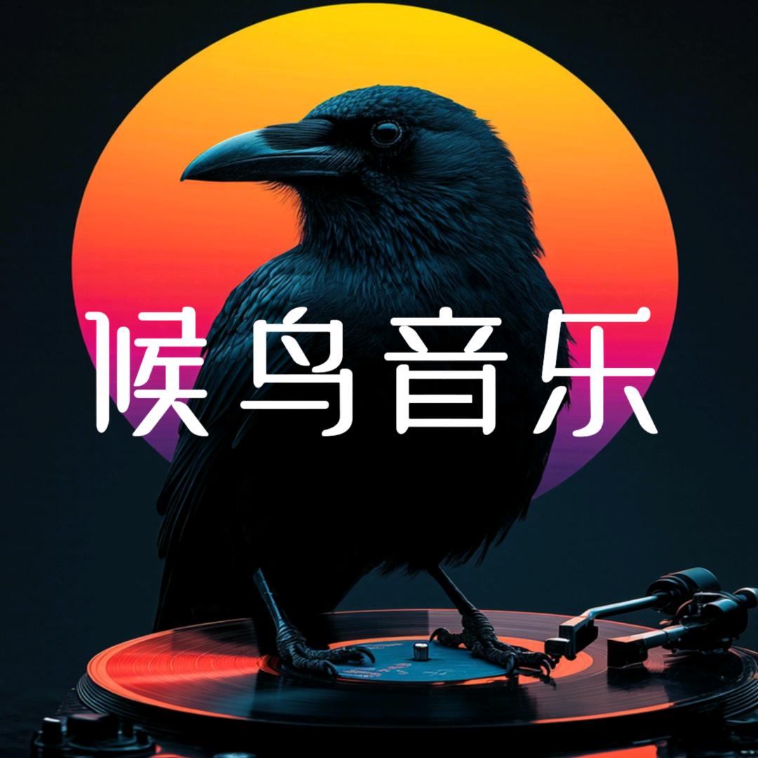 黑胶候鸟（收徒陪跑）