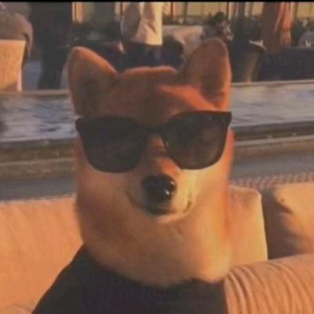 哆哆的狗🐶