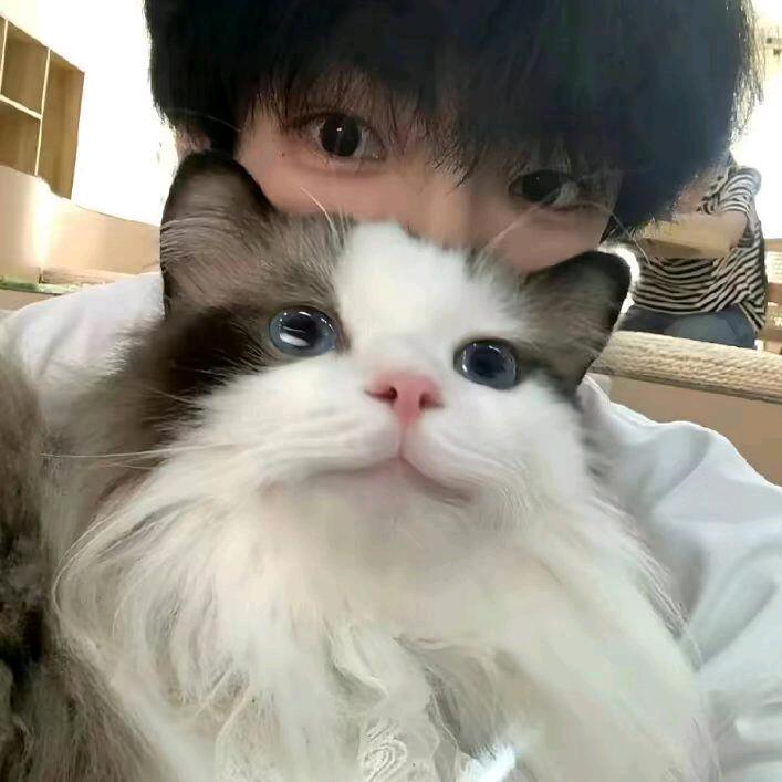 坑坑卬