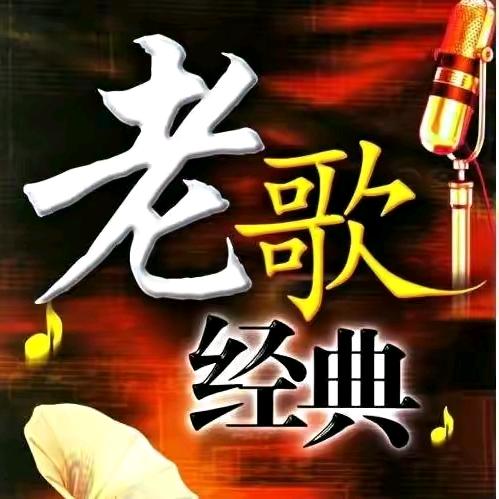 经典老歌🎶（车载优盘）
