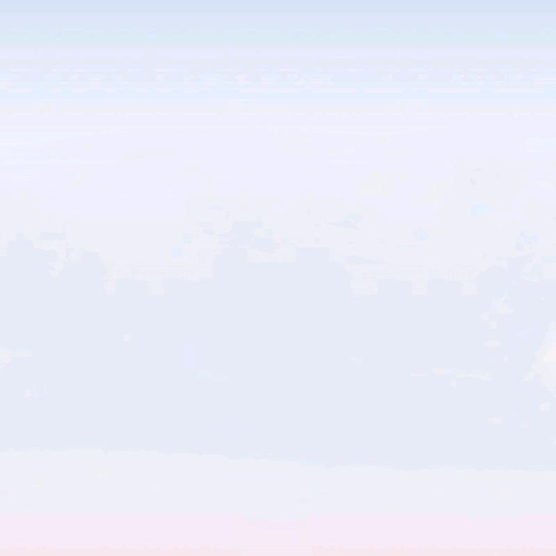 momo1头像