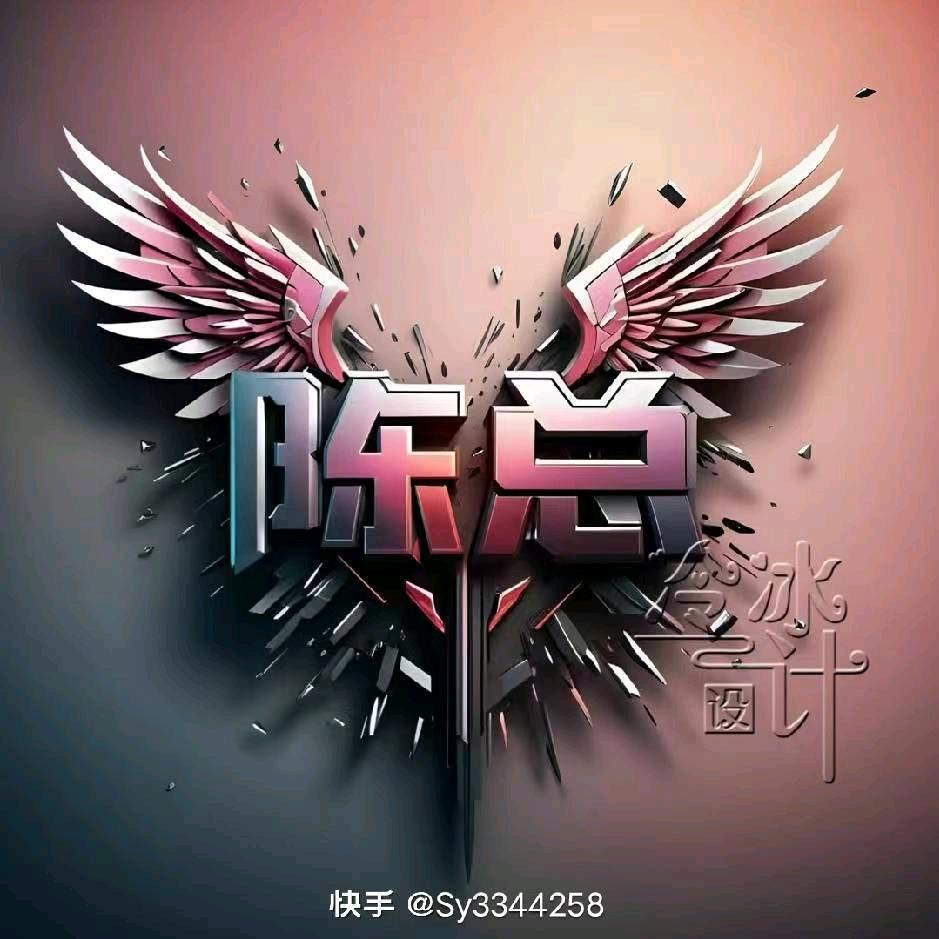 鄄城陈总