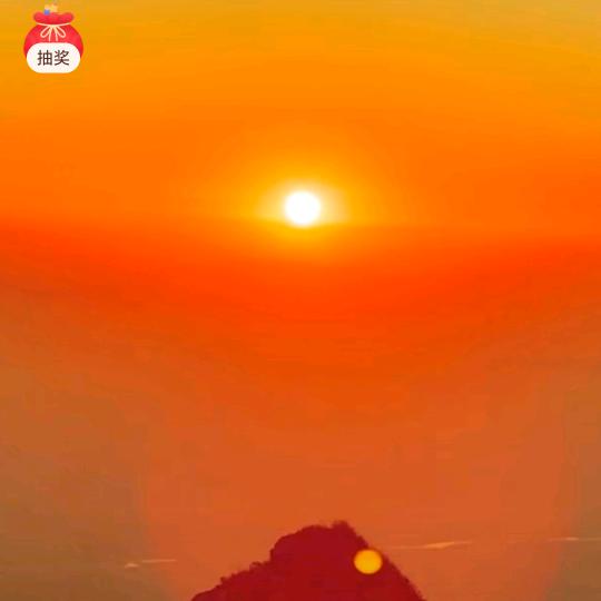 真心_254352189