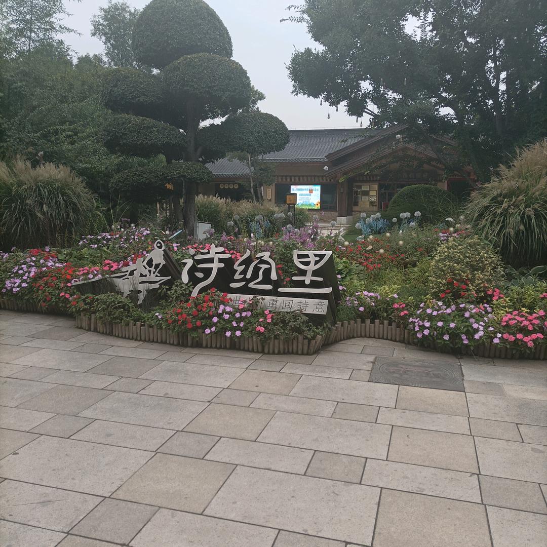 喜欢冬枣的白灵姐头像