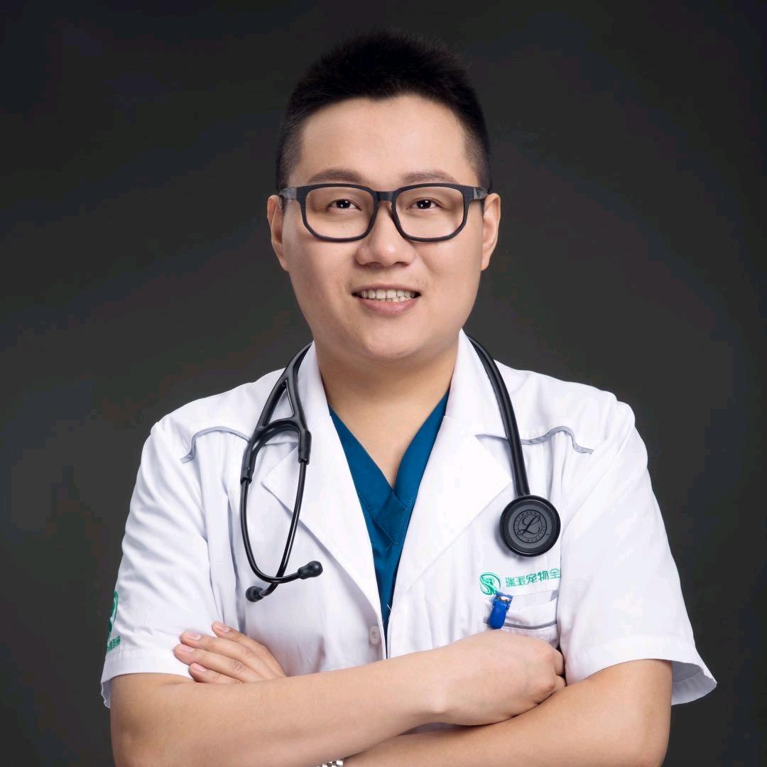 瑞派宠医陈院长（北京）
