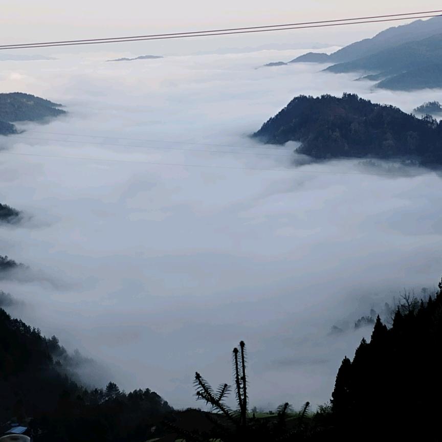 不想取名