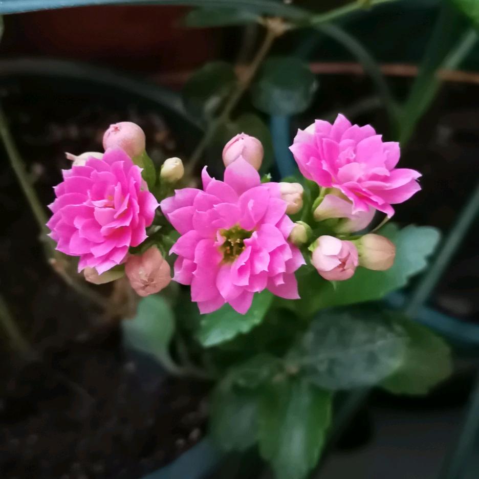 沐潼  安安