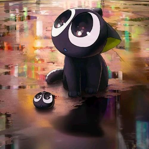 灰鸽子