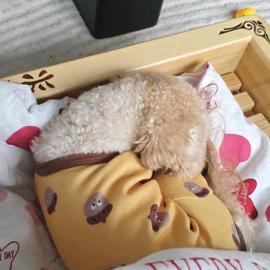 佳威_