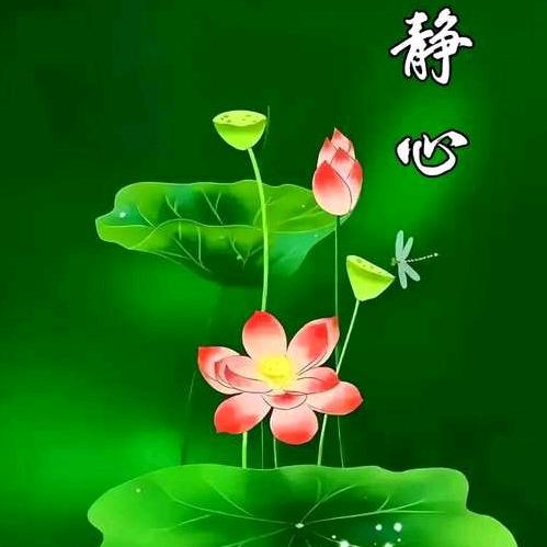 跑山大叔（曾）
