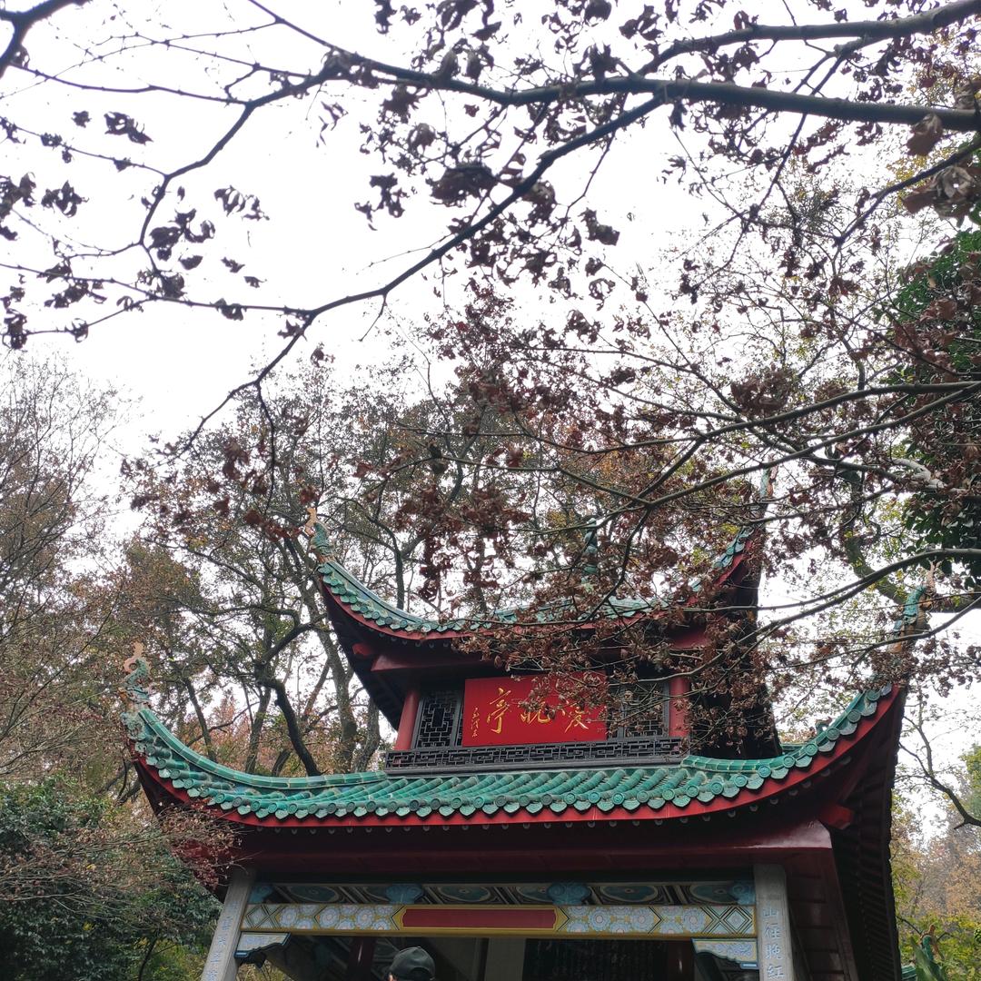 湖南万通蔡老师