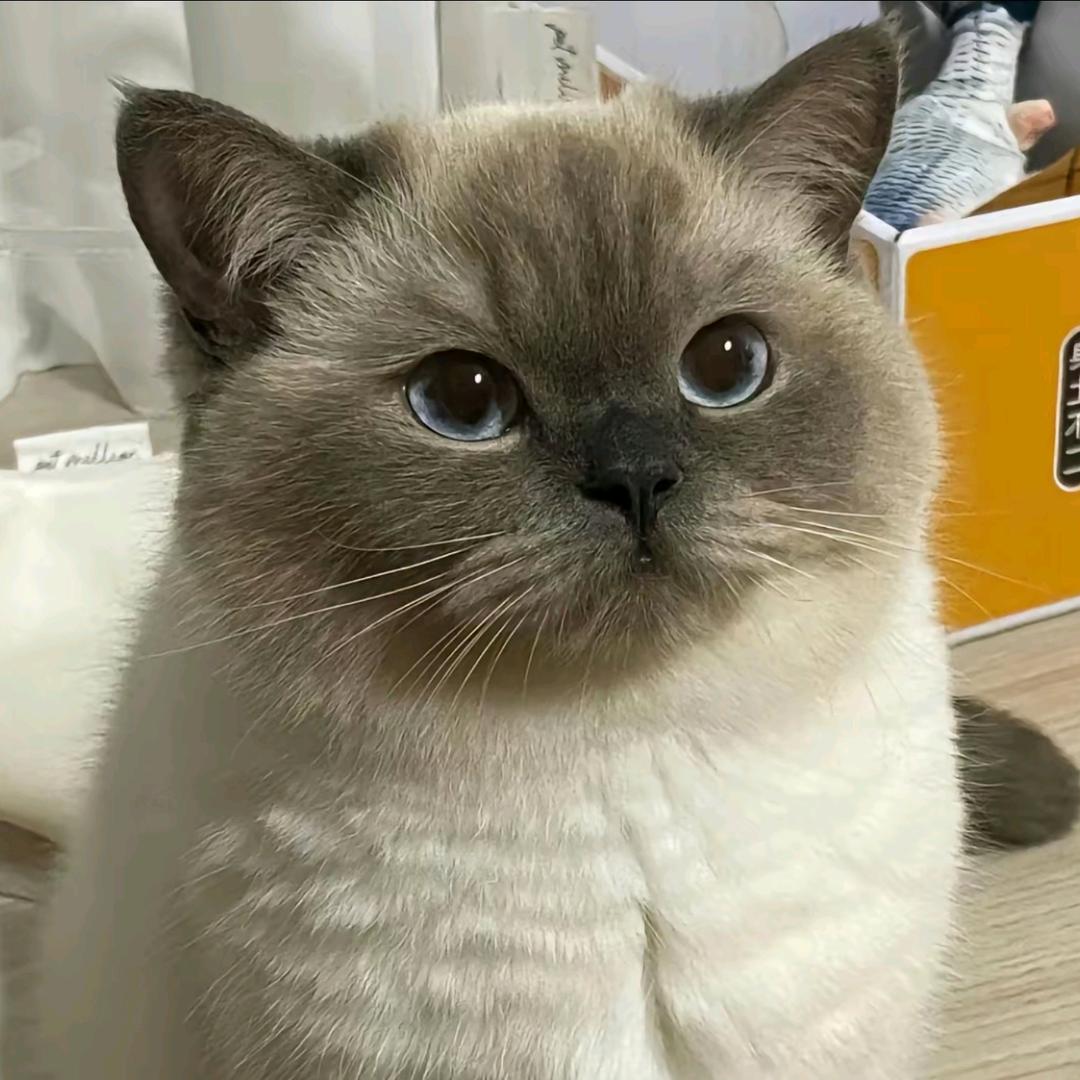 思杰.