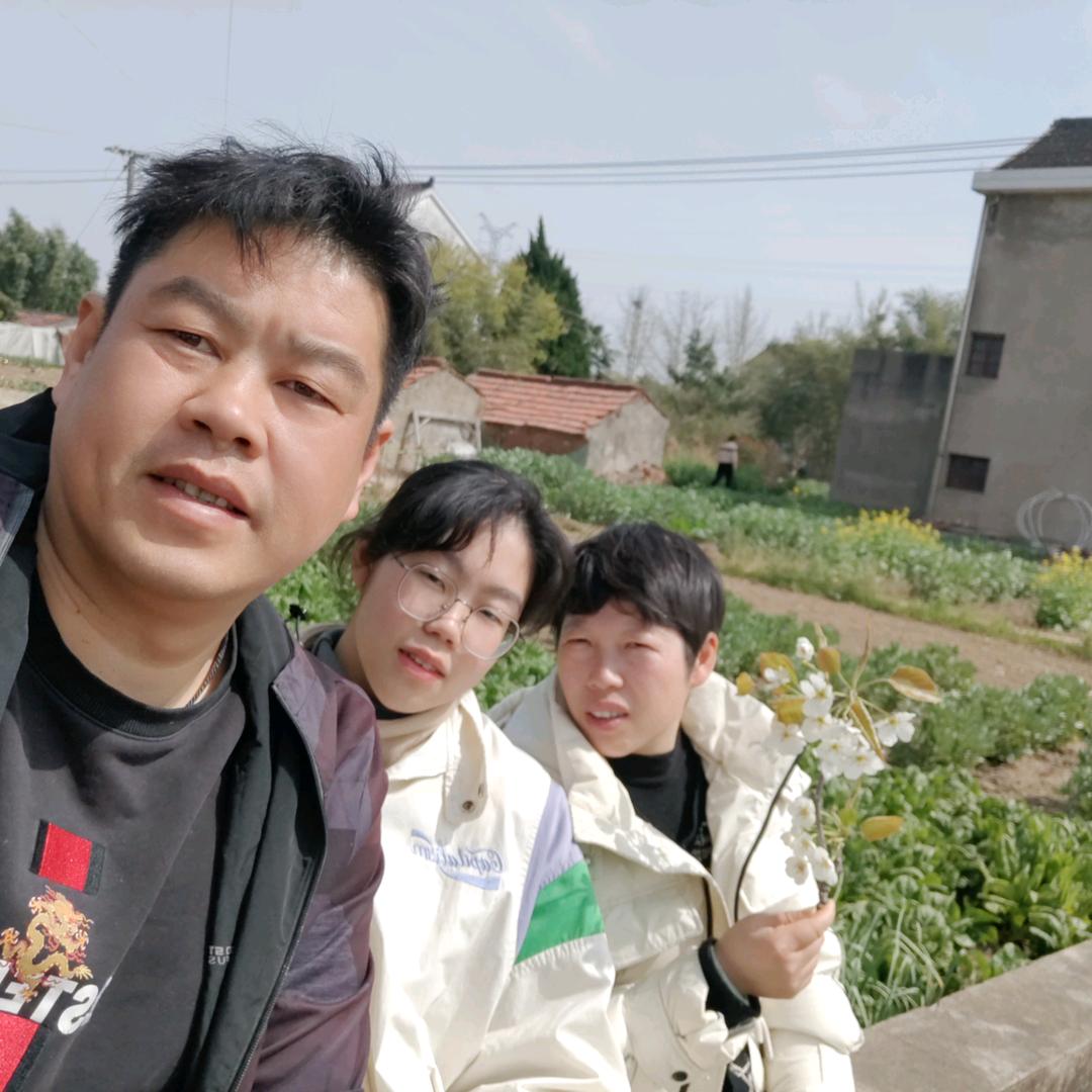 扶摇直上