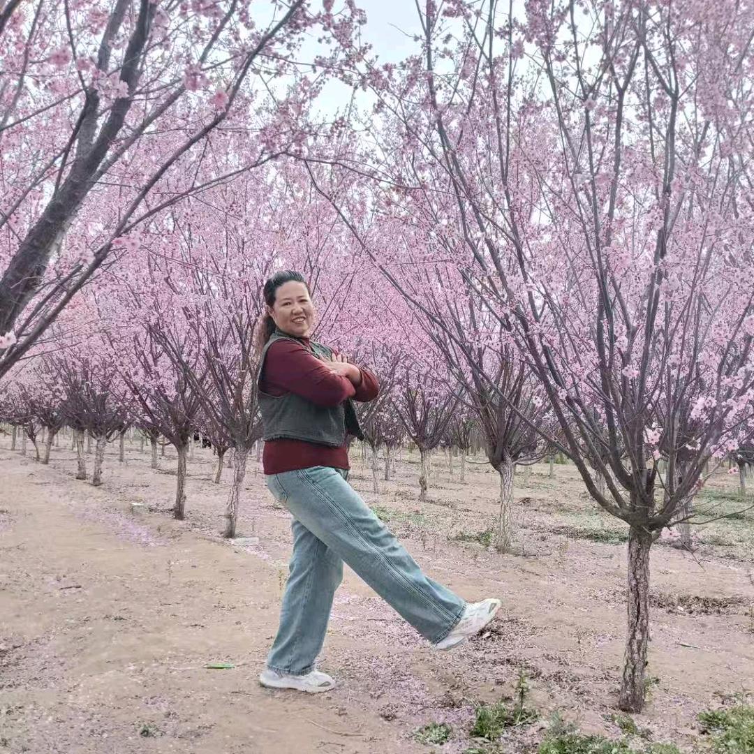 自律王姐