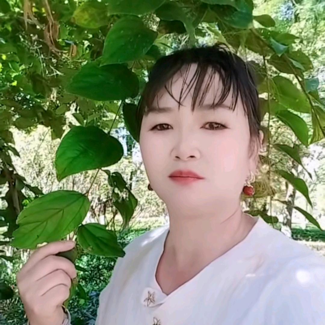 桂花香