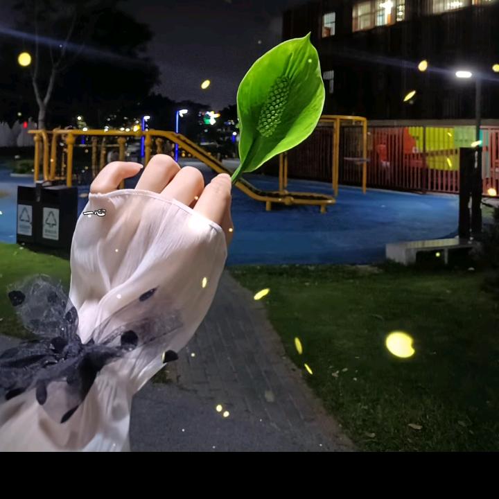 深秋的夜