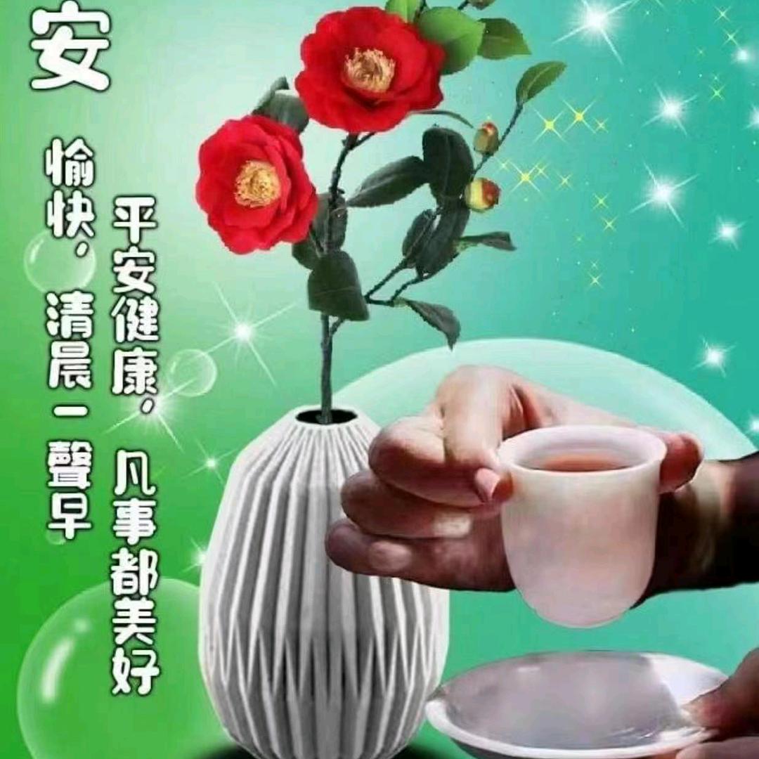 @玲姐
