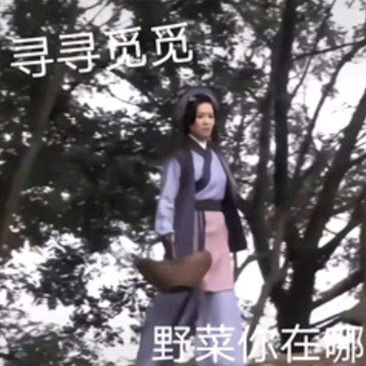 野菜你在哪