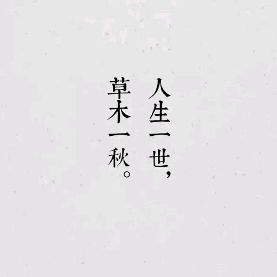 西安金融阿智