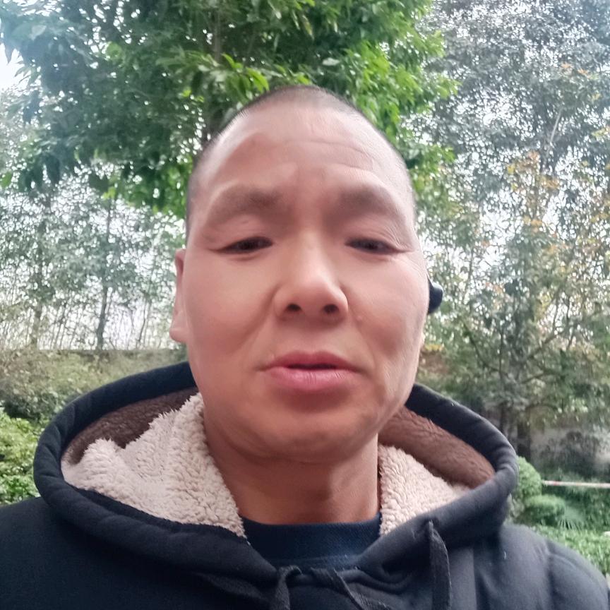 刘师傅(粉刷匠)停播